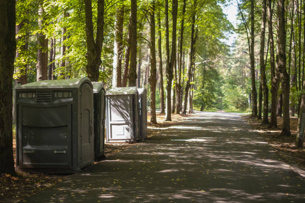 Affordable portable toilet rental in Greendale, IN